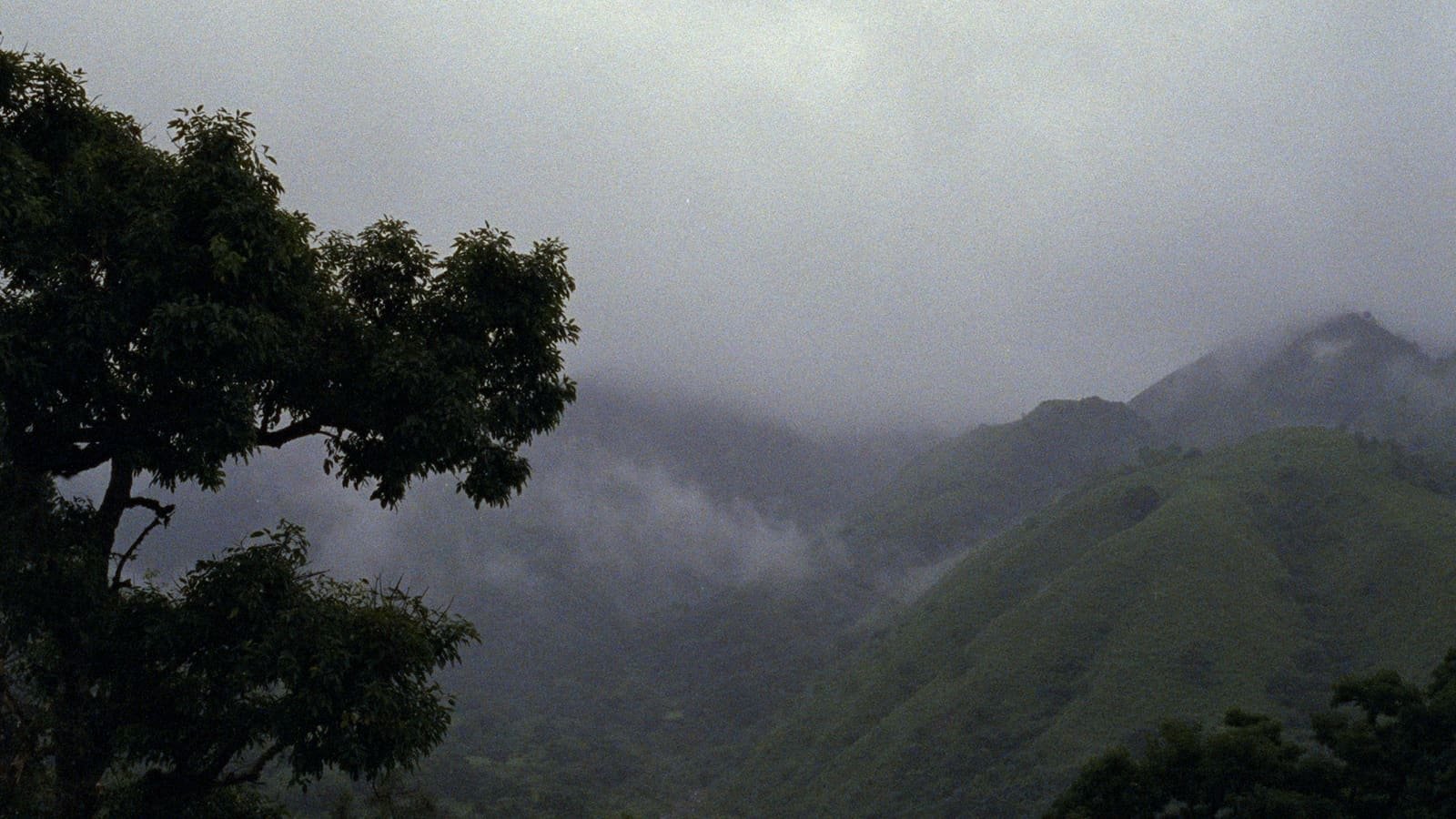 La Ciénaga (2001)