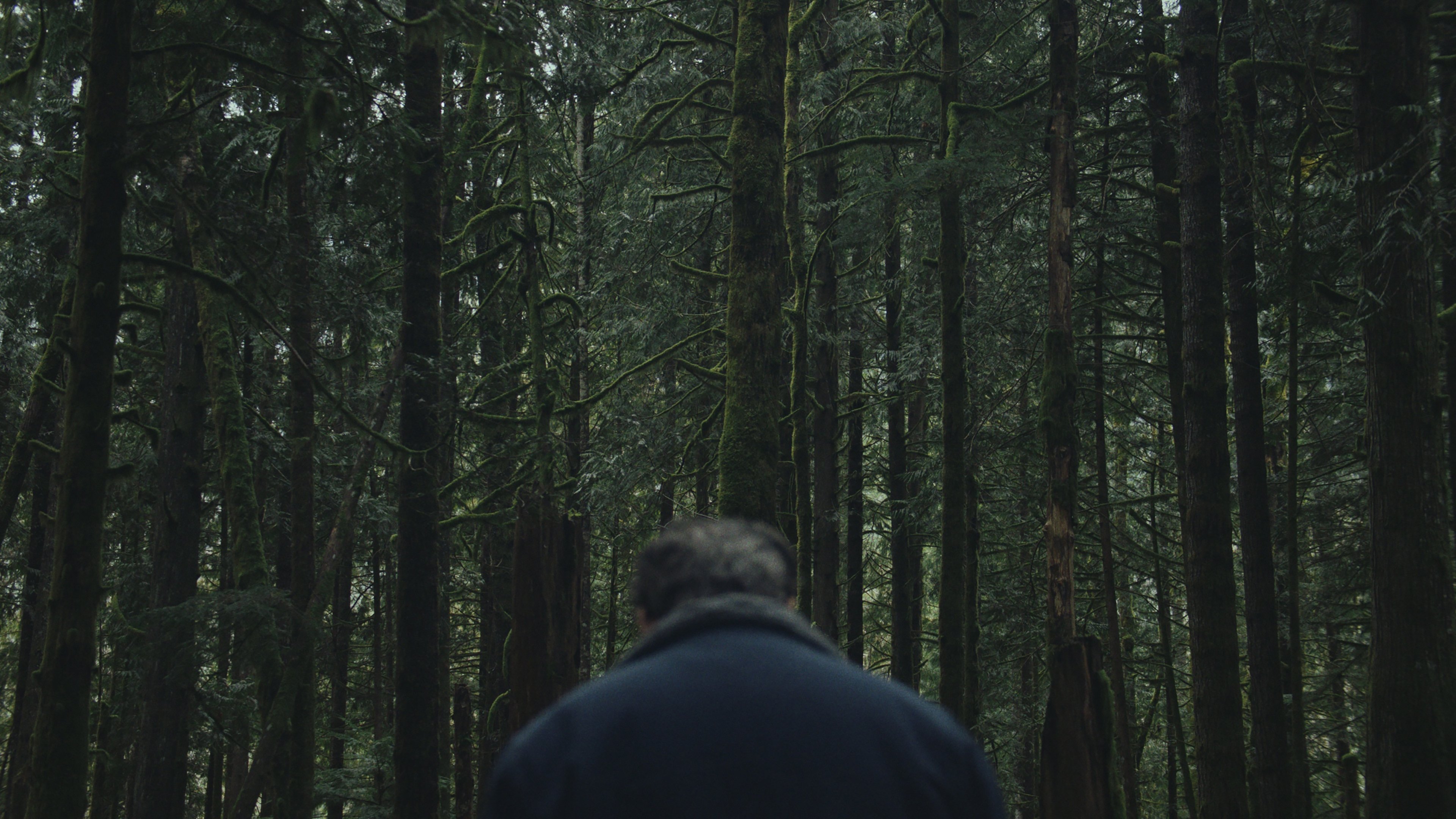 To Kill a Wolf (2024)