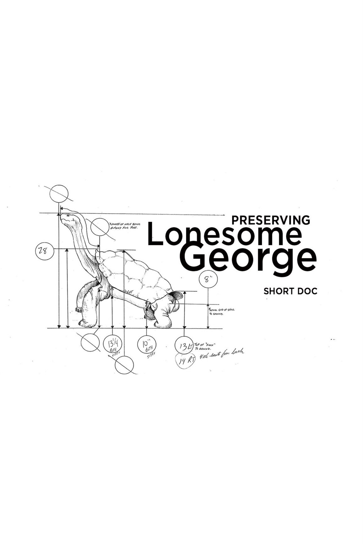 Preserving Lonesome George
