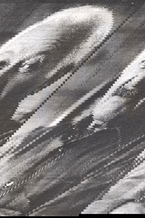 et billede af Bernie Hern