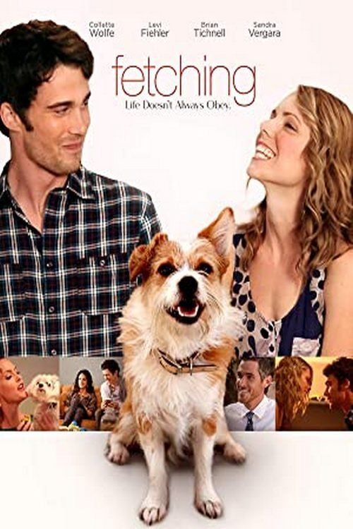 Content cover