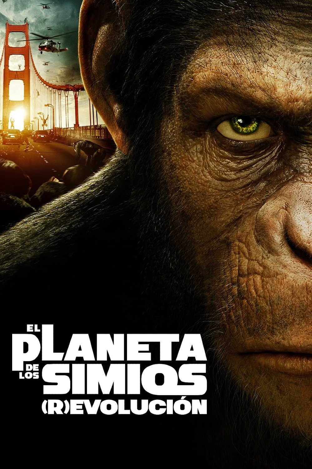 Poster 3