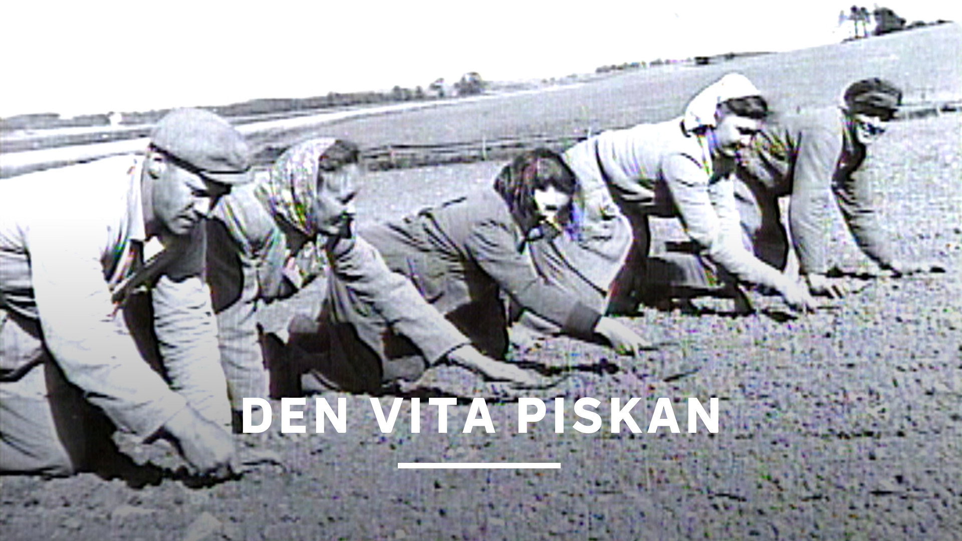 Den vita piskan Backdrop Blur