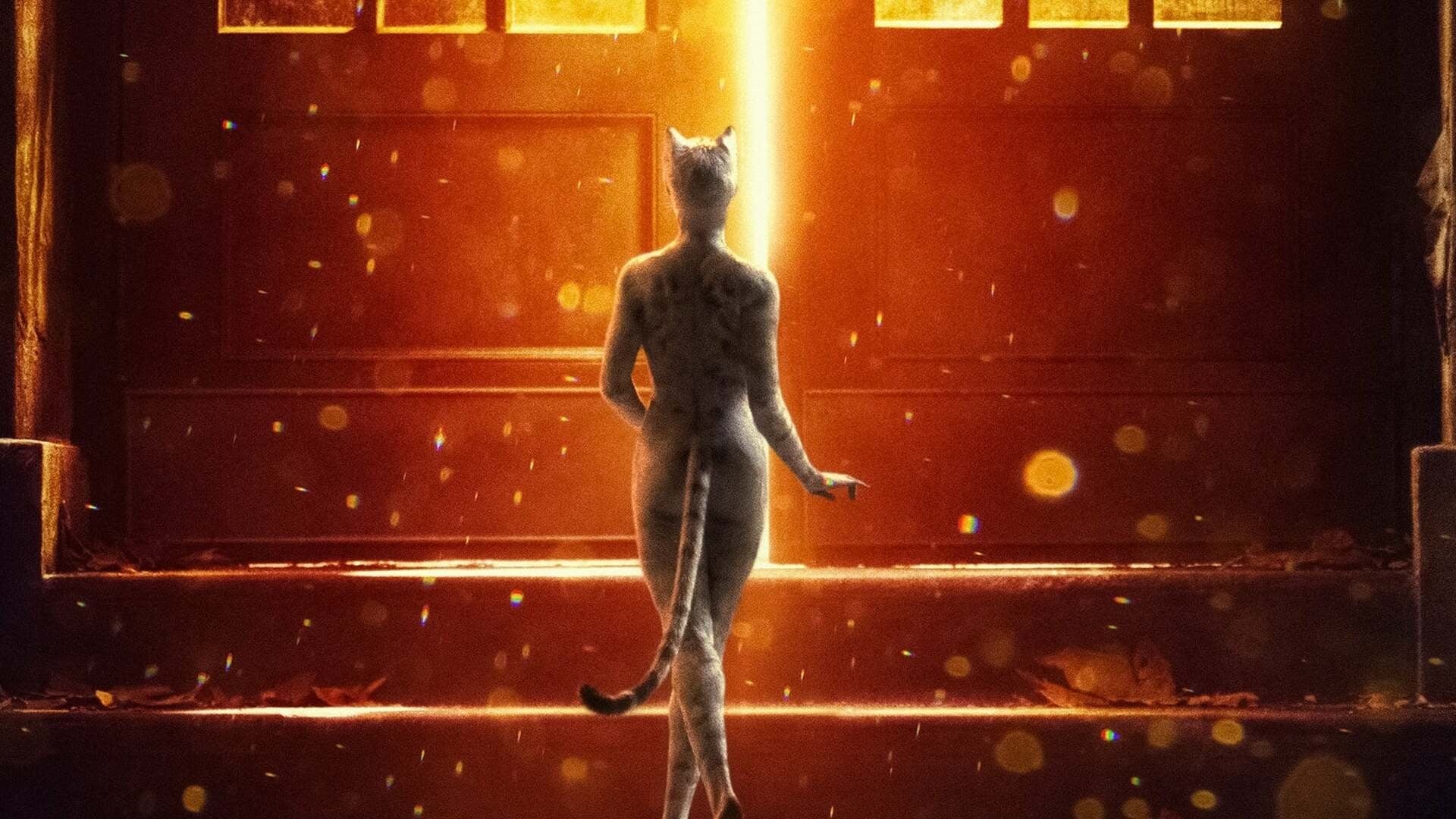 Image du film Cats ur9wpnxyutppgfscs2fhfmph2ehjpg