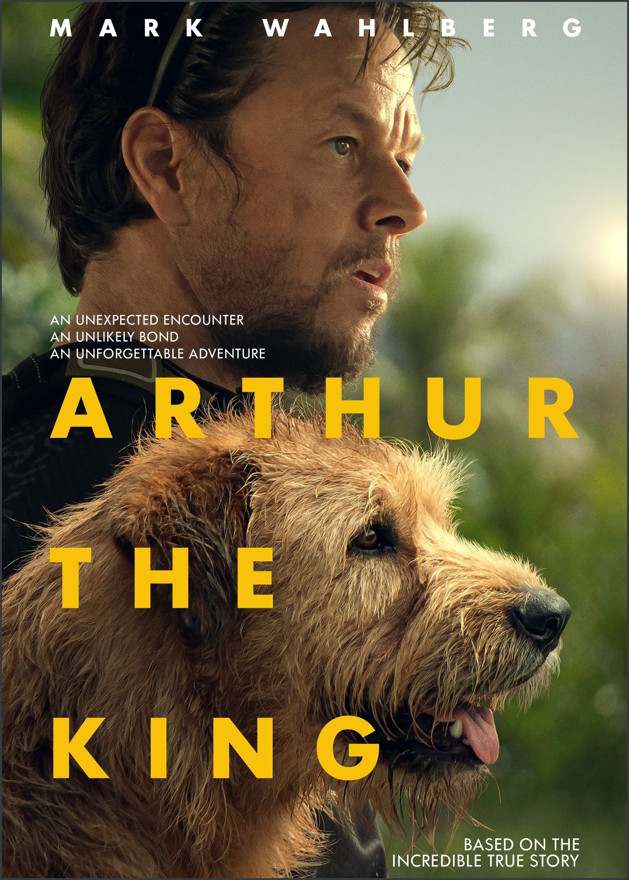 Arthur the King