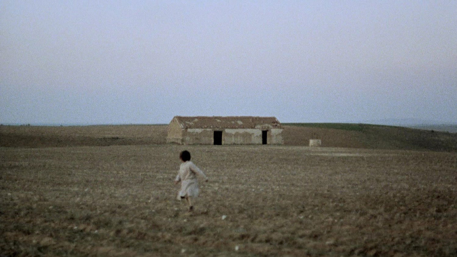 The Spirit of the Beehive