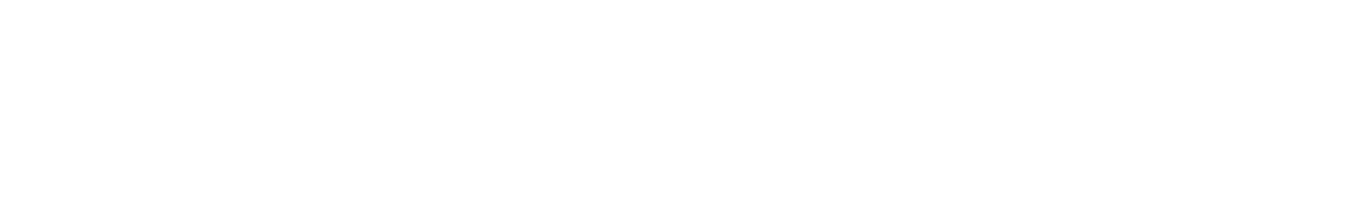 Breach Logo