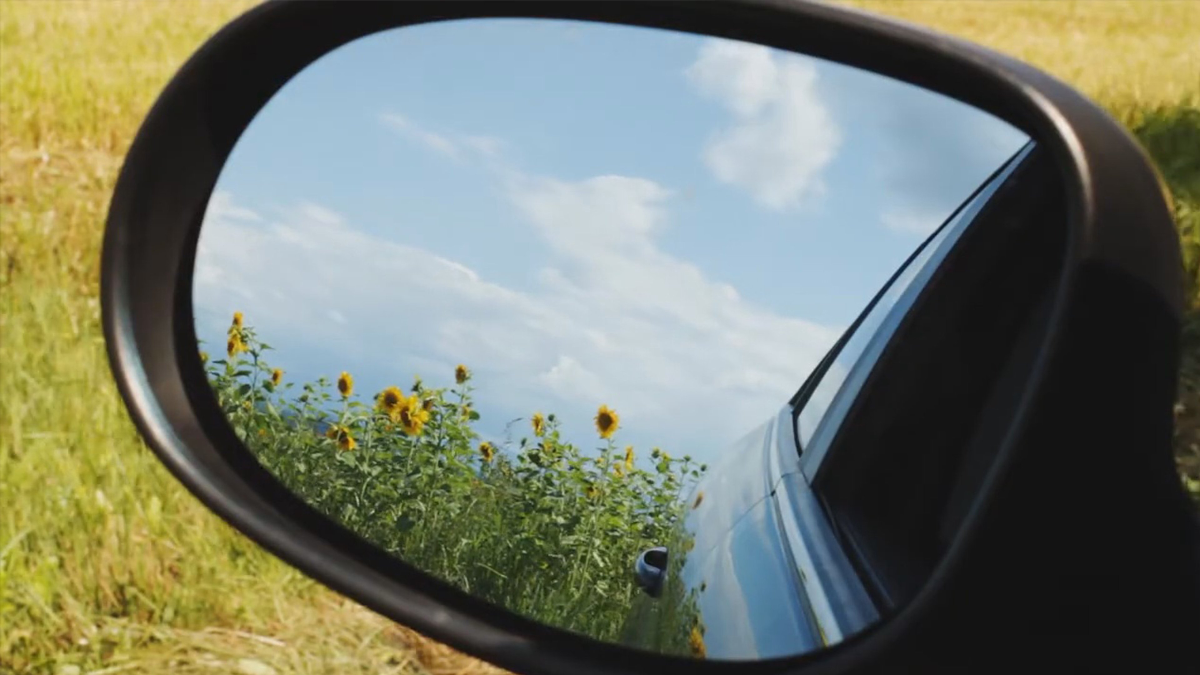 Hinterland (2011)