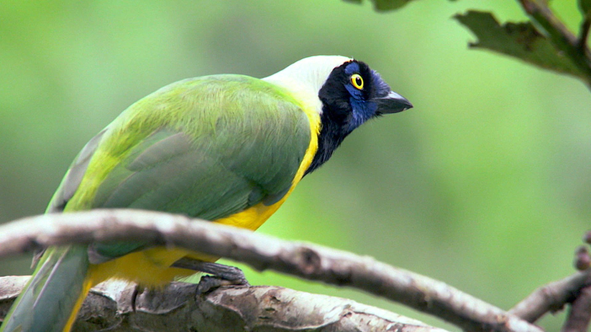 Earth Odyssey with Dylan Dreyer S02E30 backdrop