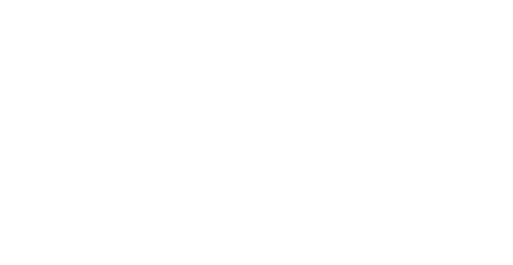 Bicycle Thieves Logo