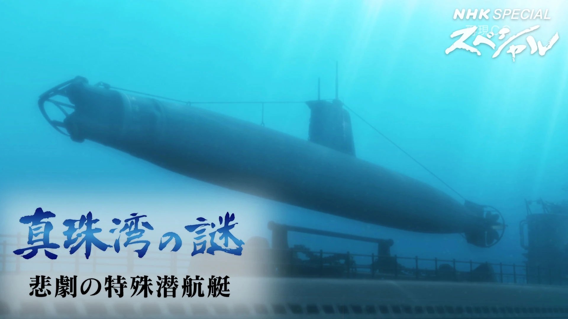 NHKスペシャル - Épisode 1206