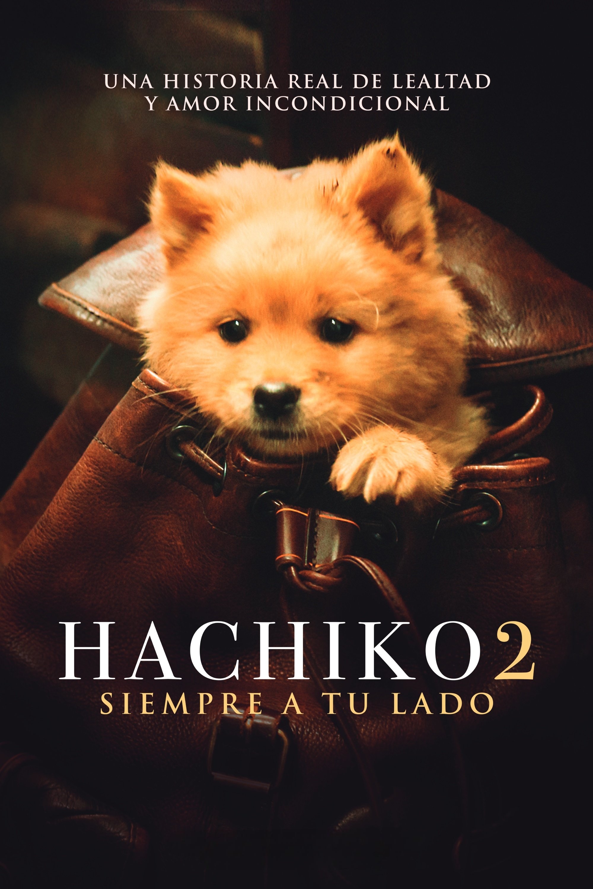 movie img
