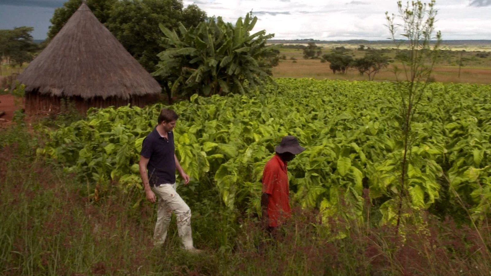 Thumbnail for Was Mugabe correct? Season 1 Episode 4