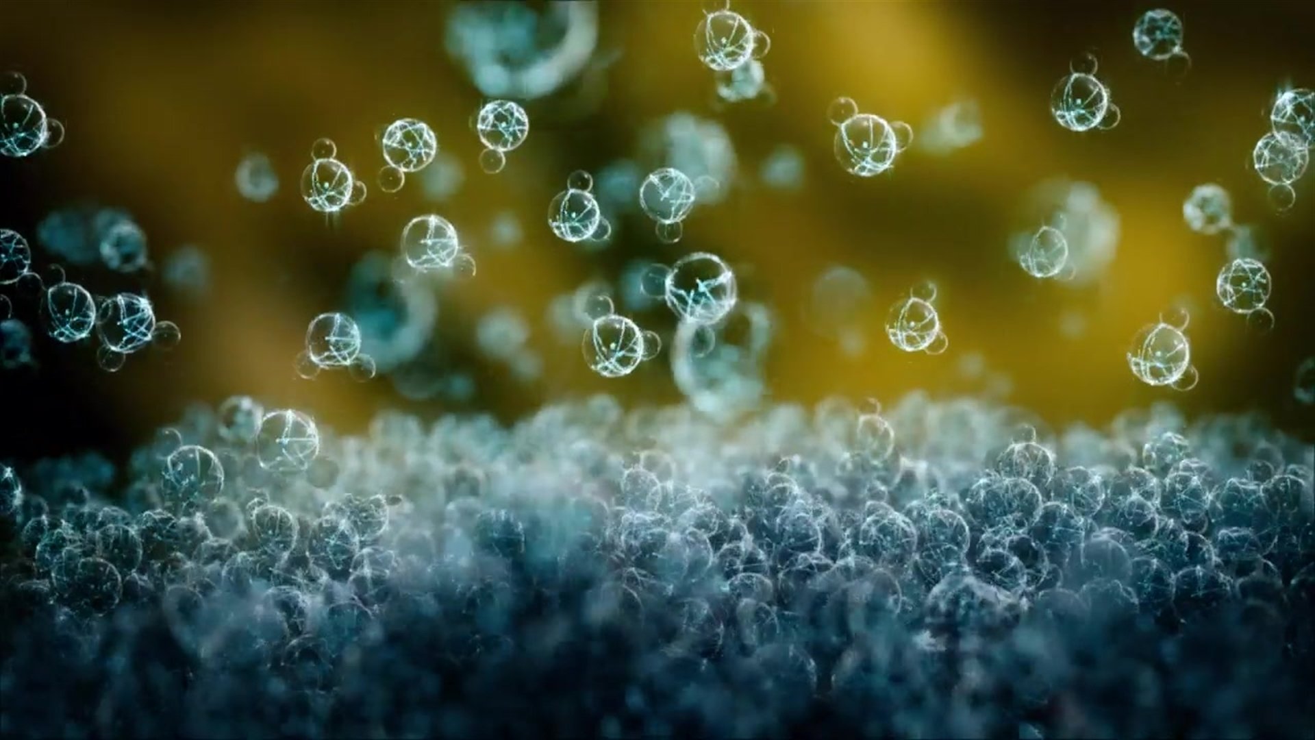 Cosmos