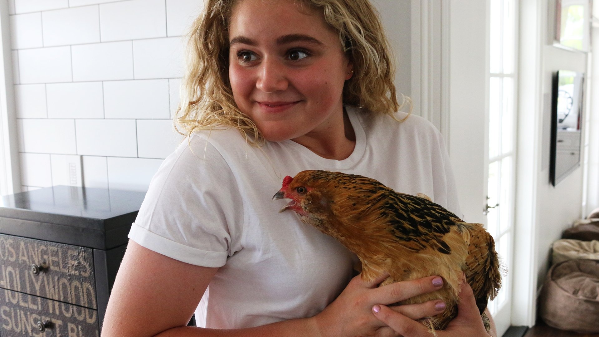 Matilda and the Ramsay Bunch