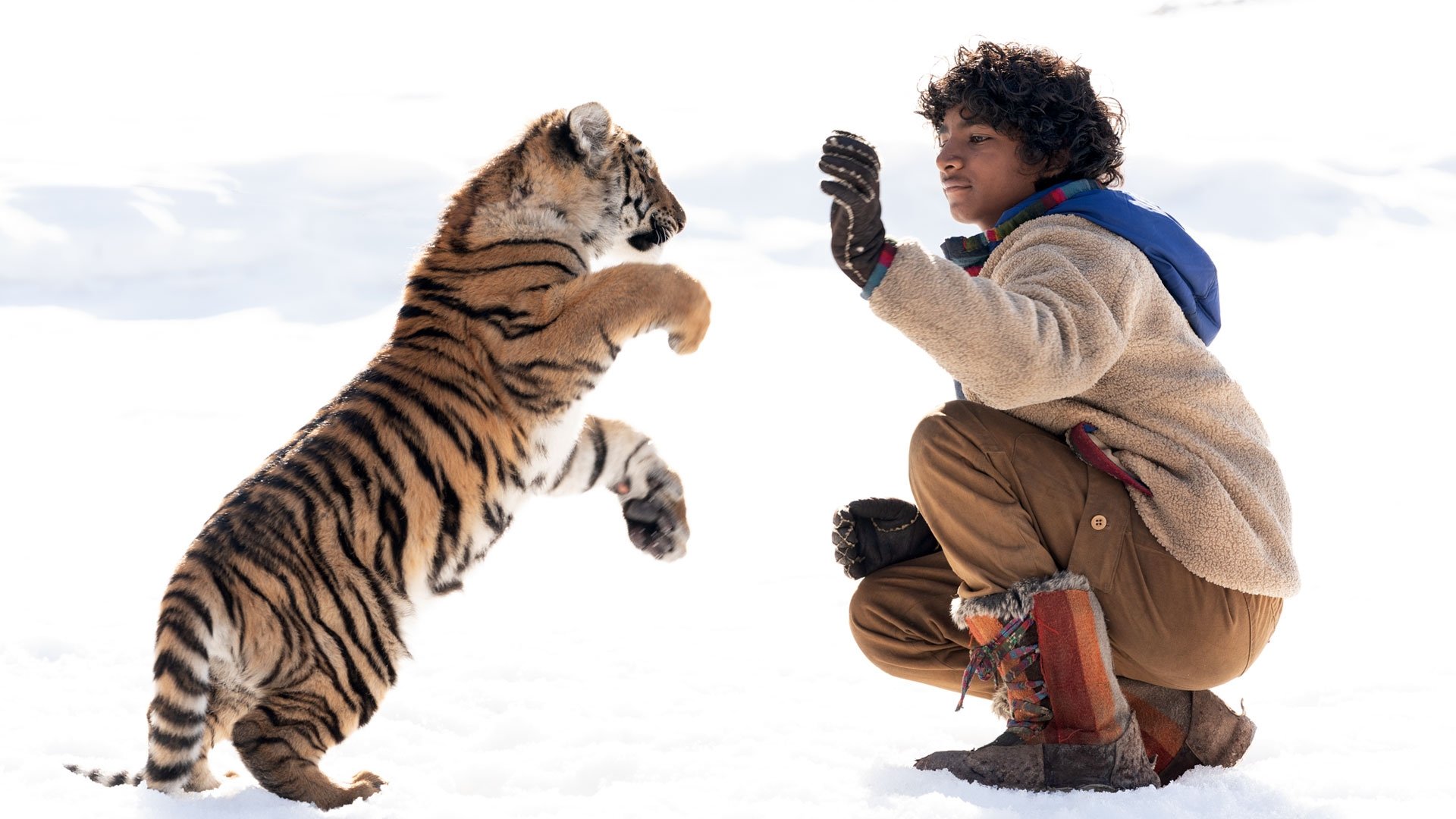 El niño y el tigre (2022)