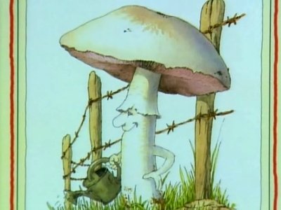 C'est pas sorcier - Le cèpe à sorcier : les champignons