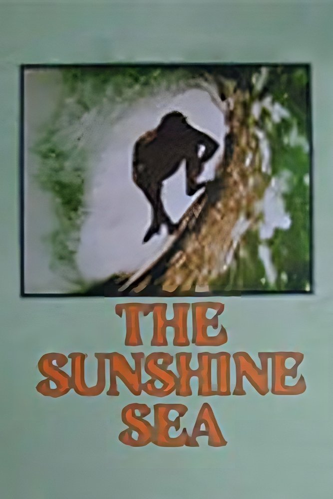 The Sunshine Sea