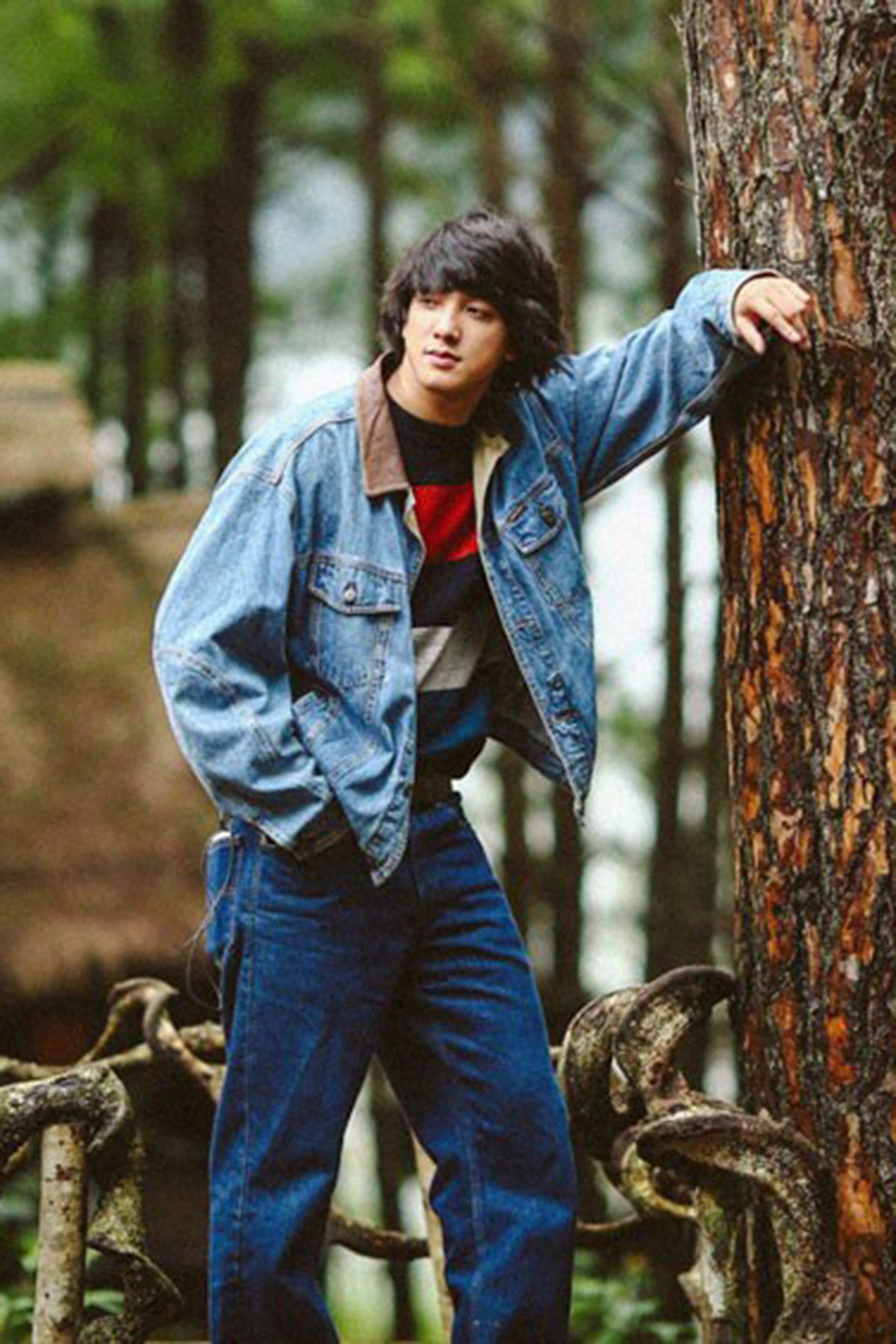 et billede af Văn Tùng