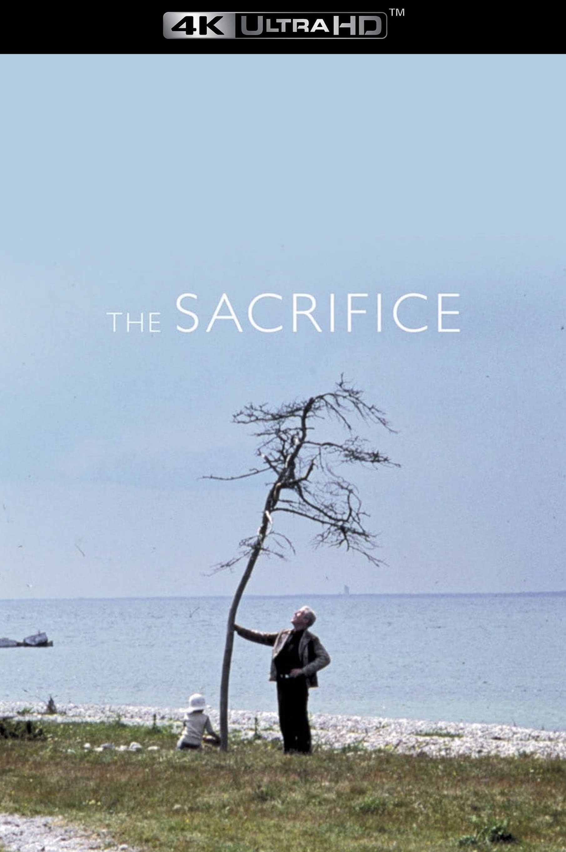 The Sacrifice