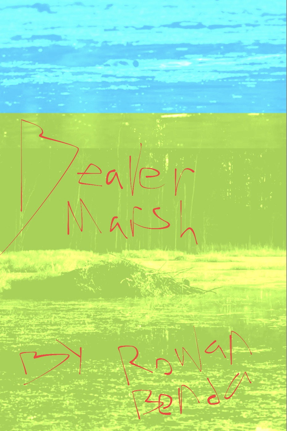 poster movie Beaver Marsh