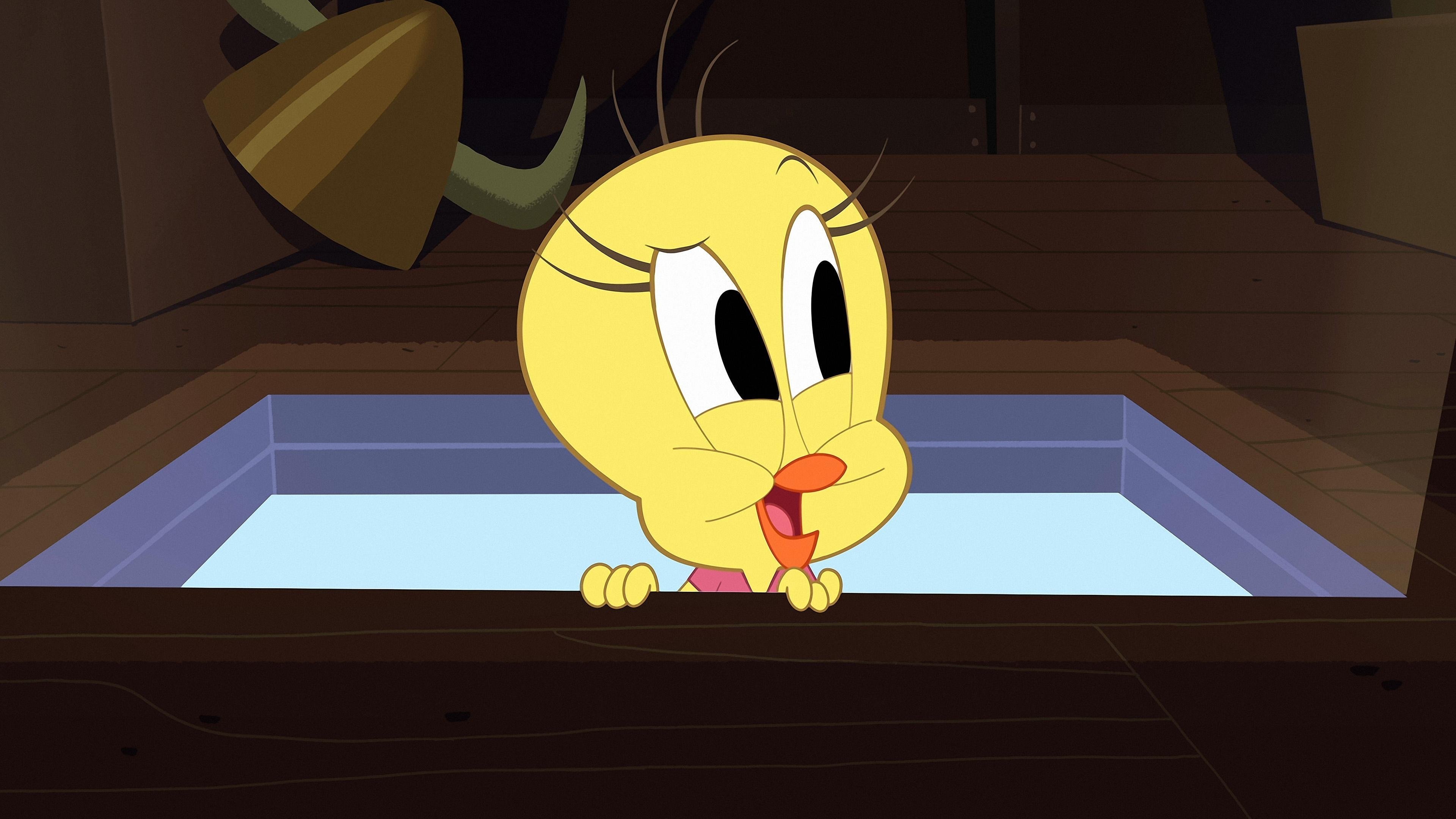 Thumbnail for Hide N' Seek Season 0 Episode 13