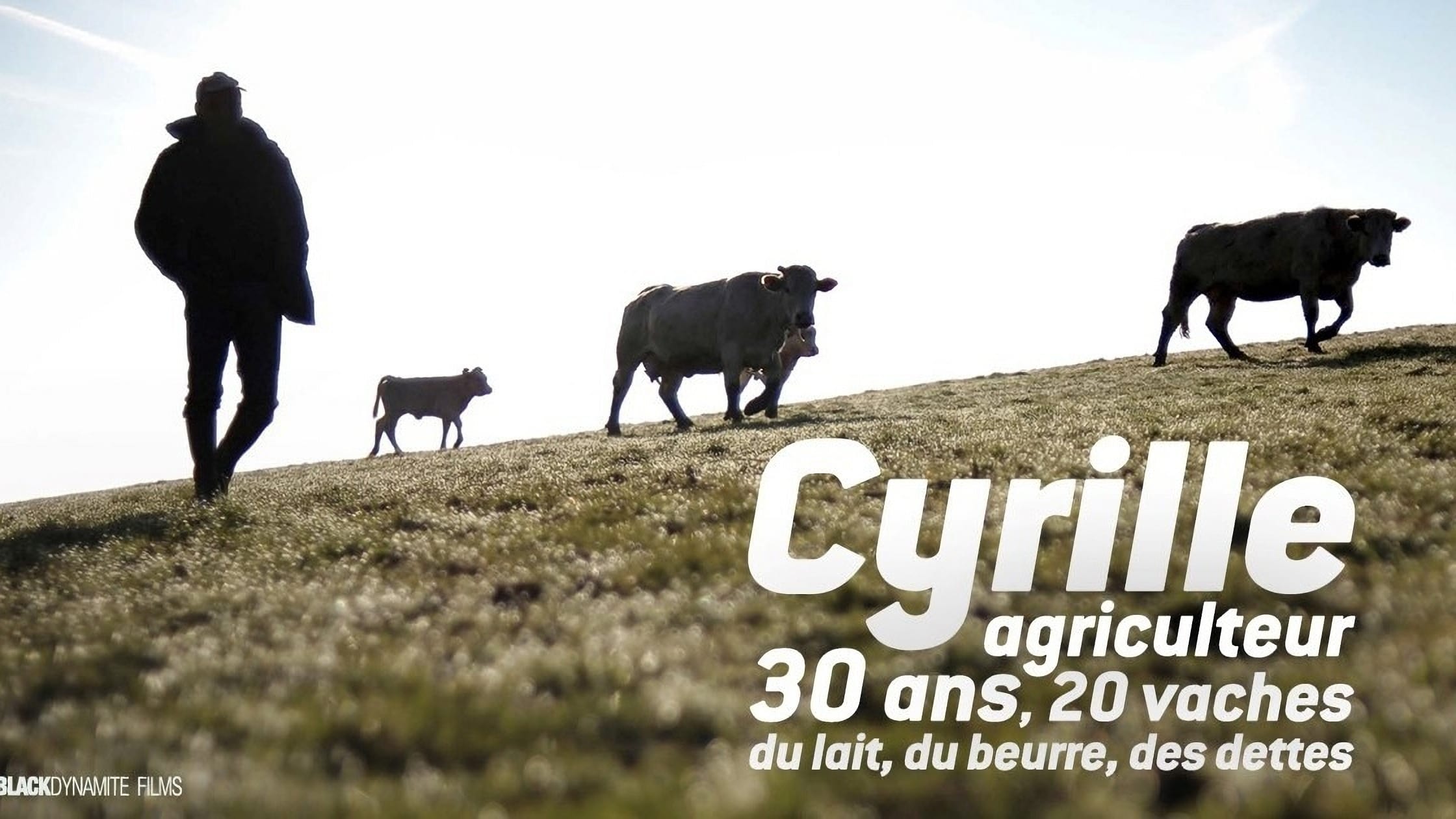 Image du film Cyrille, agriculteur, 30 ans, 20 vaches, du lait, du beurre, des dettes uwrec2guc4p4whj4rckqwfhtvdojpg