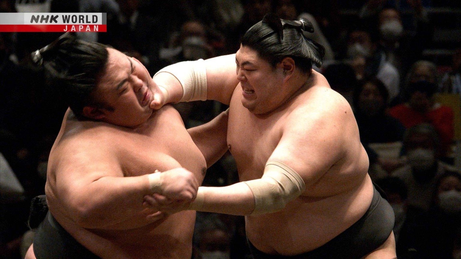 GRAND SUMO Highlights Staffel 15 :Folge 6 