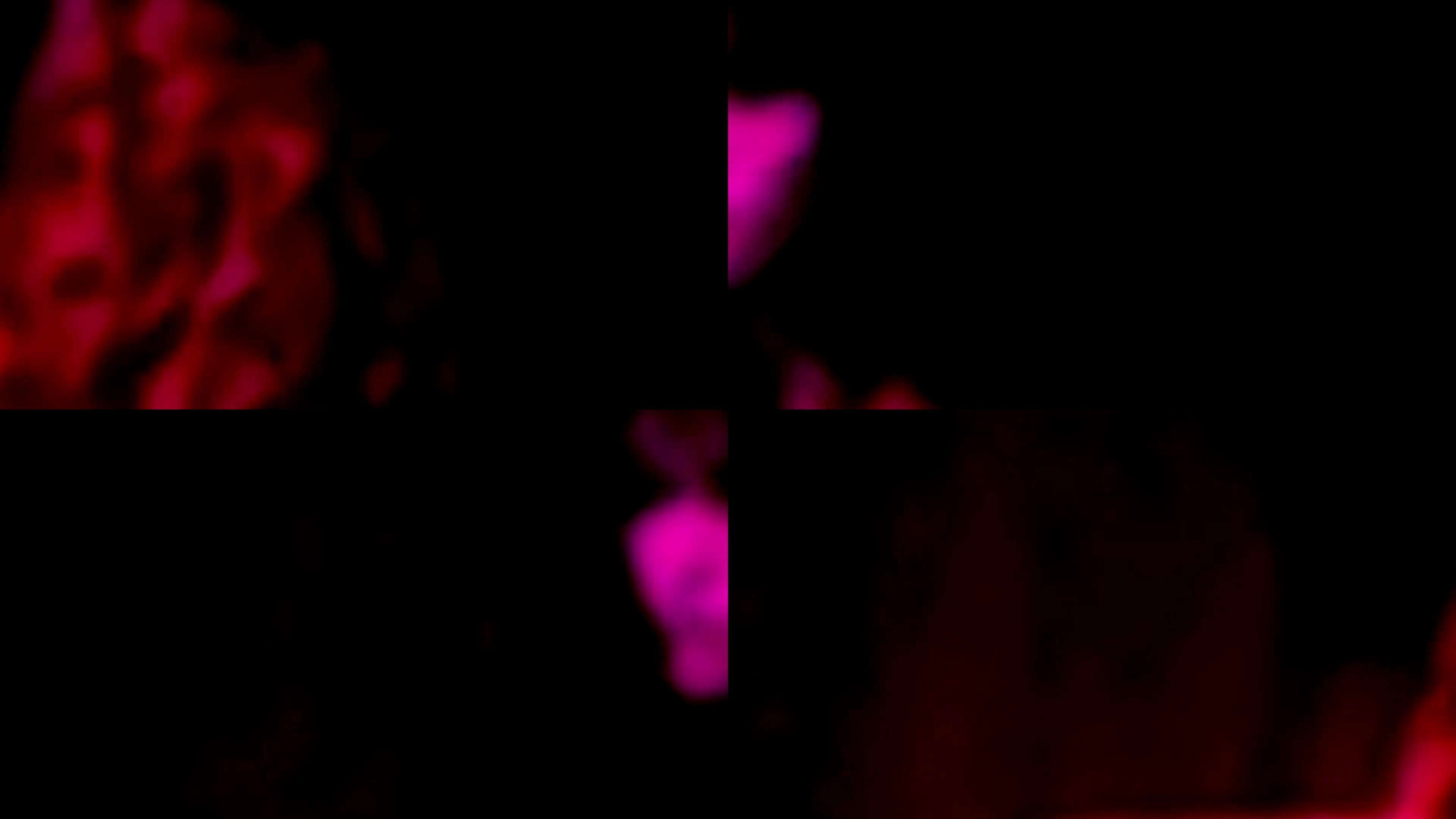 Film Study 01