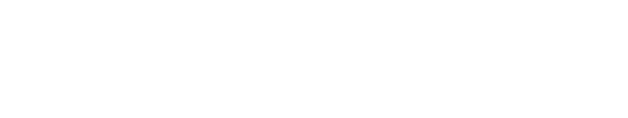 The Rookie Logo