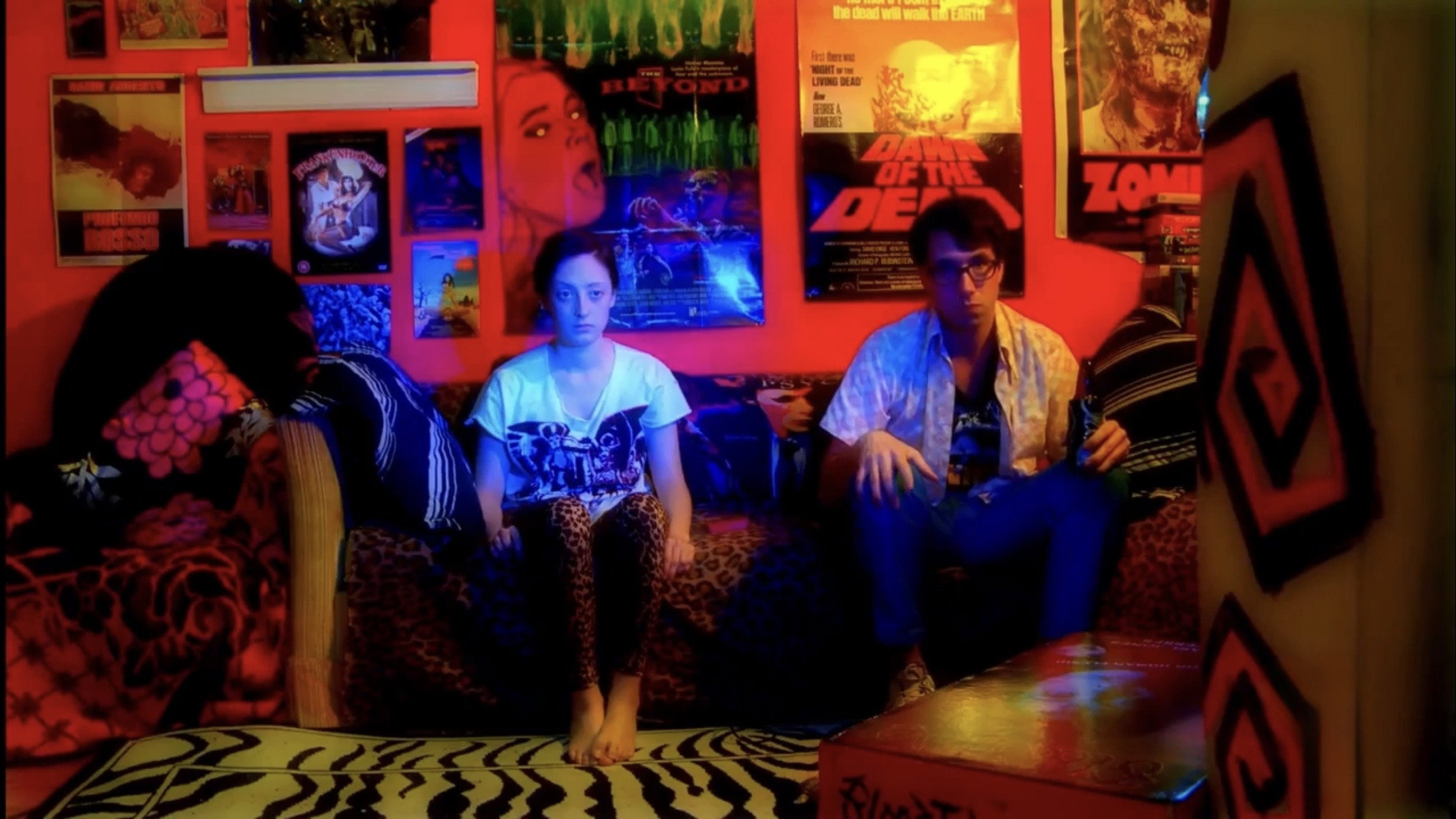 Video Diary of a Lost Girl