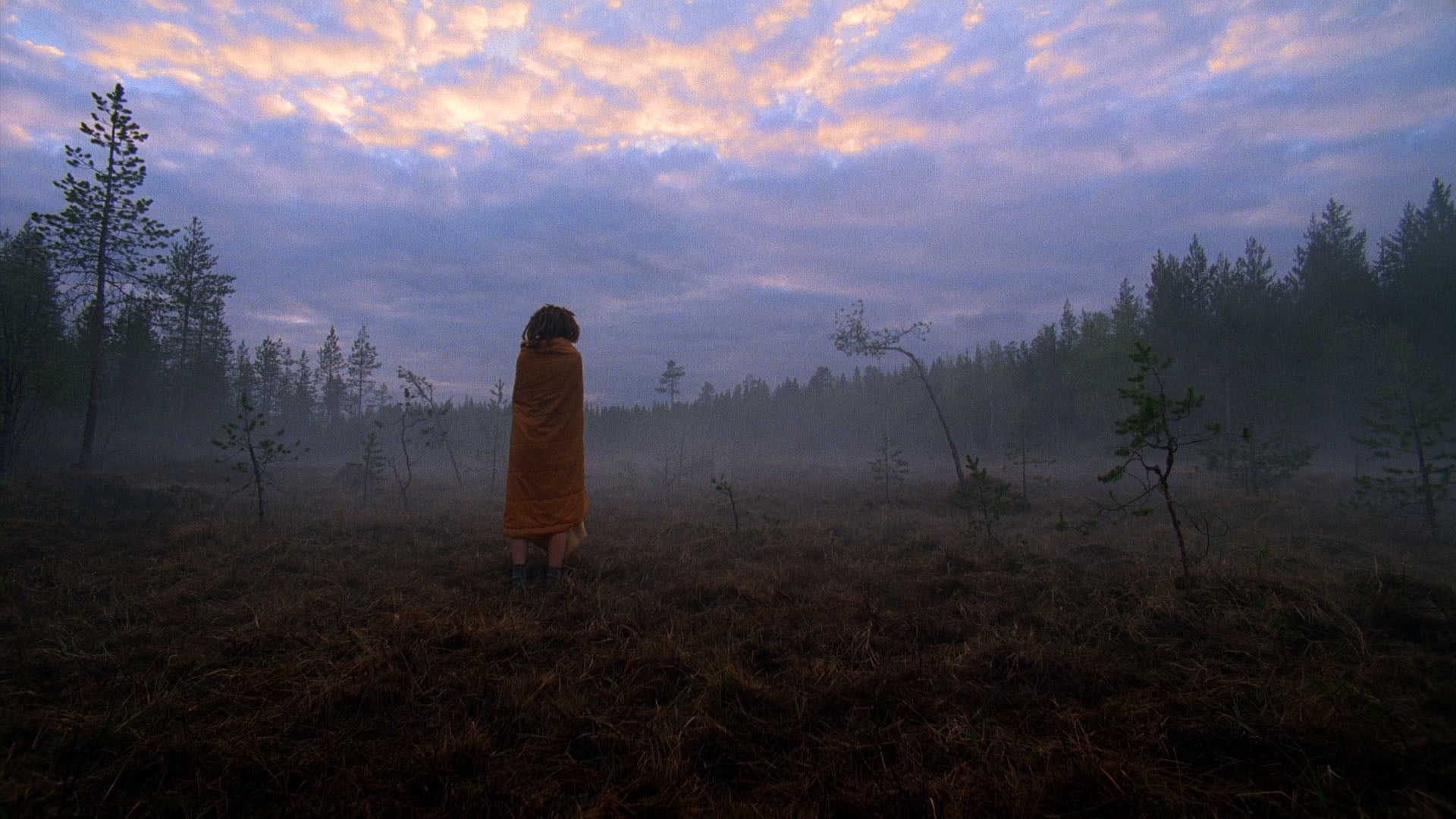 Bogland (2011)