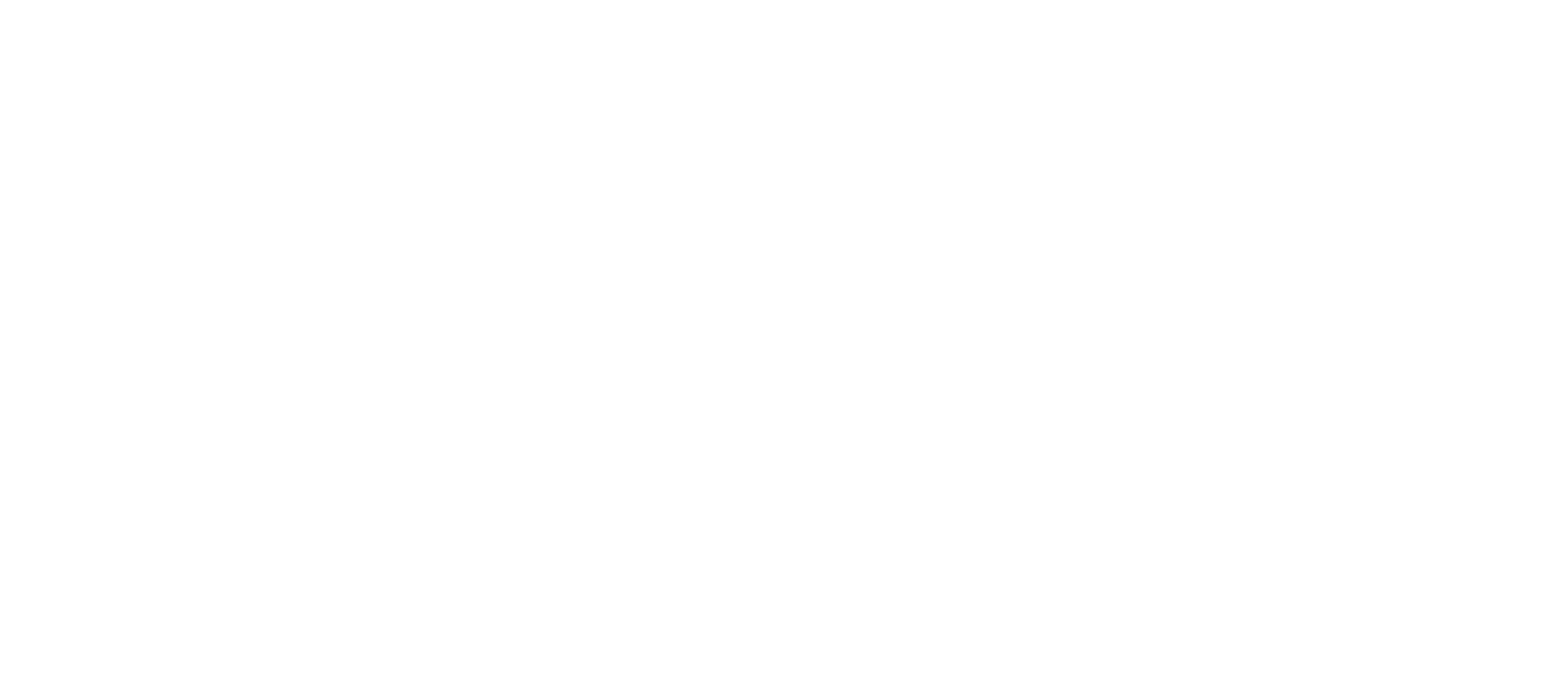 Fancy Dance Logo