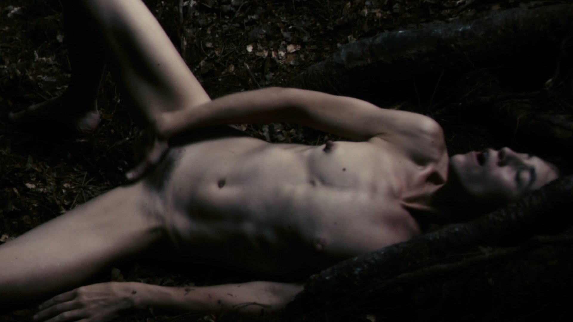 Antichrist (2009) .