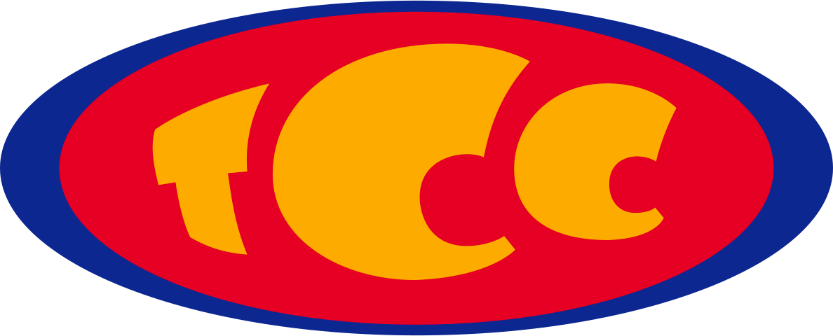 The Children's Channel