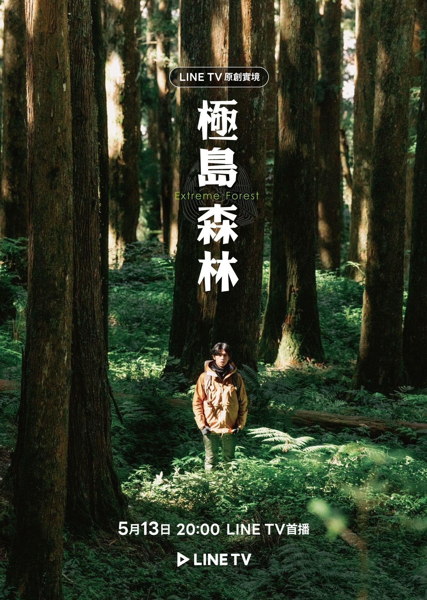 Extreme Forest