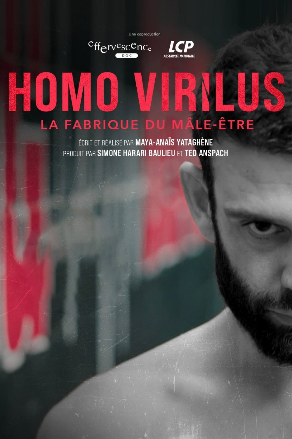 Homo virilus : la fabrique du m&acirc;le-&ecirc;tre
