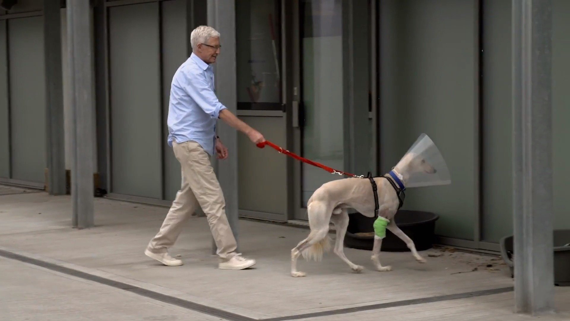 Paul O'Grady, pour l'amour des chiens - Épisode 2