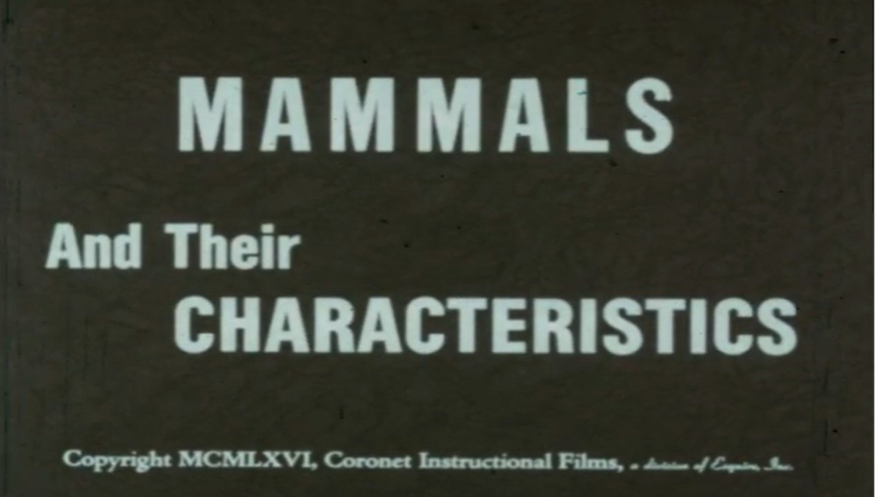 Mammals and Their Characteristics