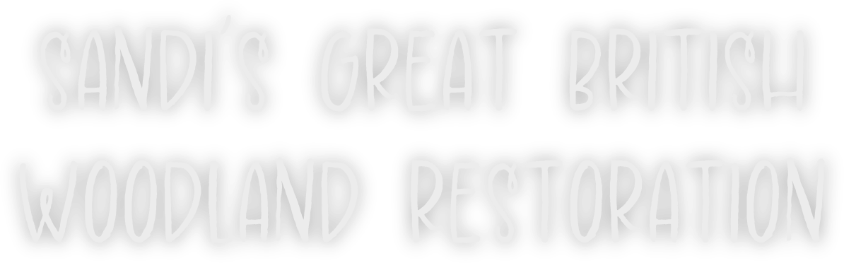 Sandi's Great British Woodland Restoration Logo