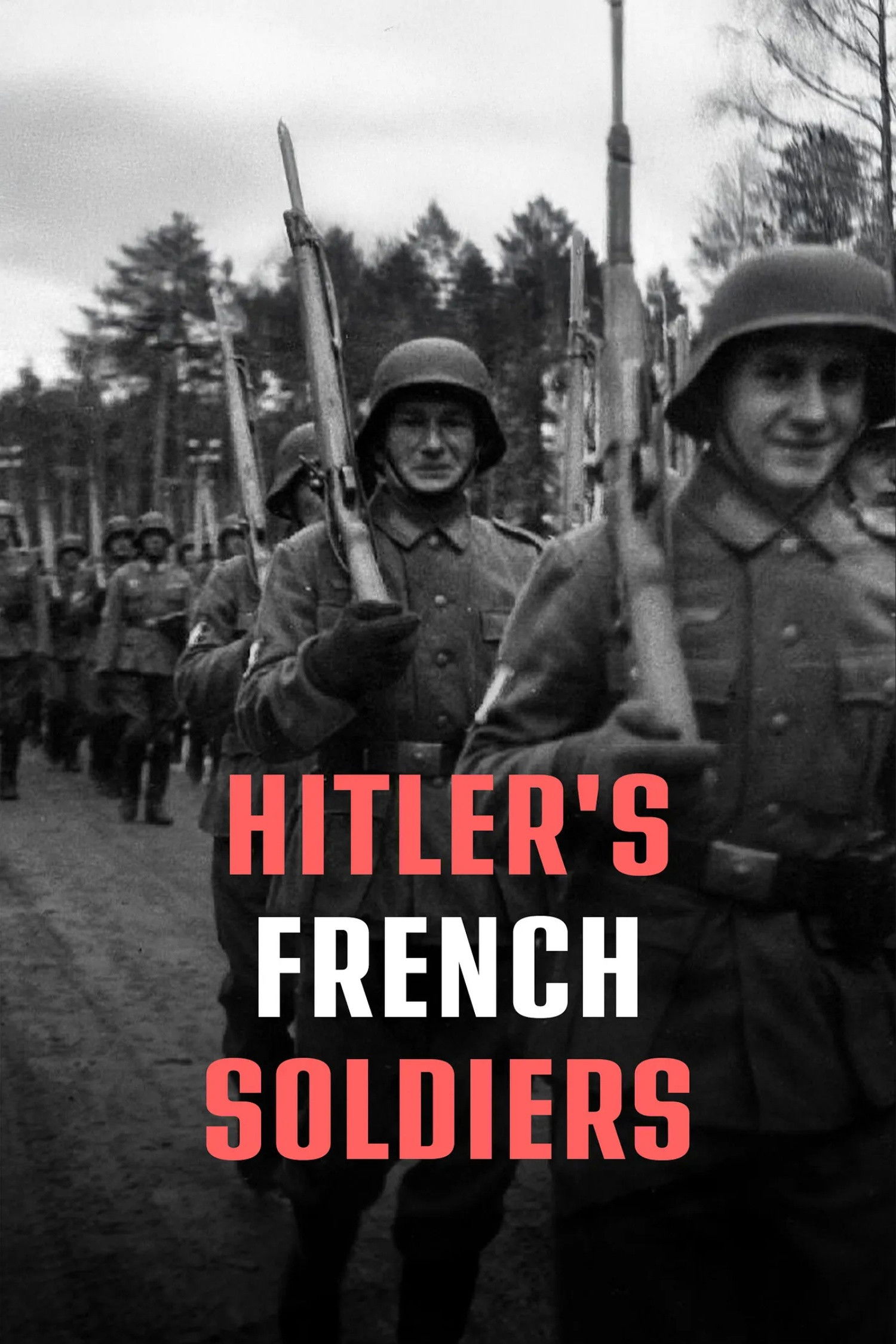 French Soldiers of the Third Reich