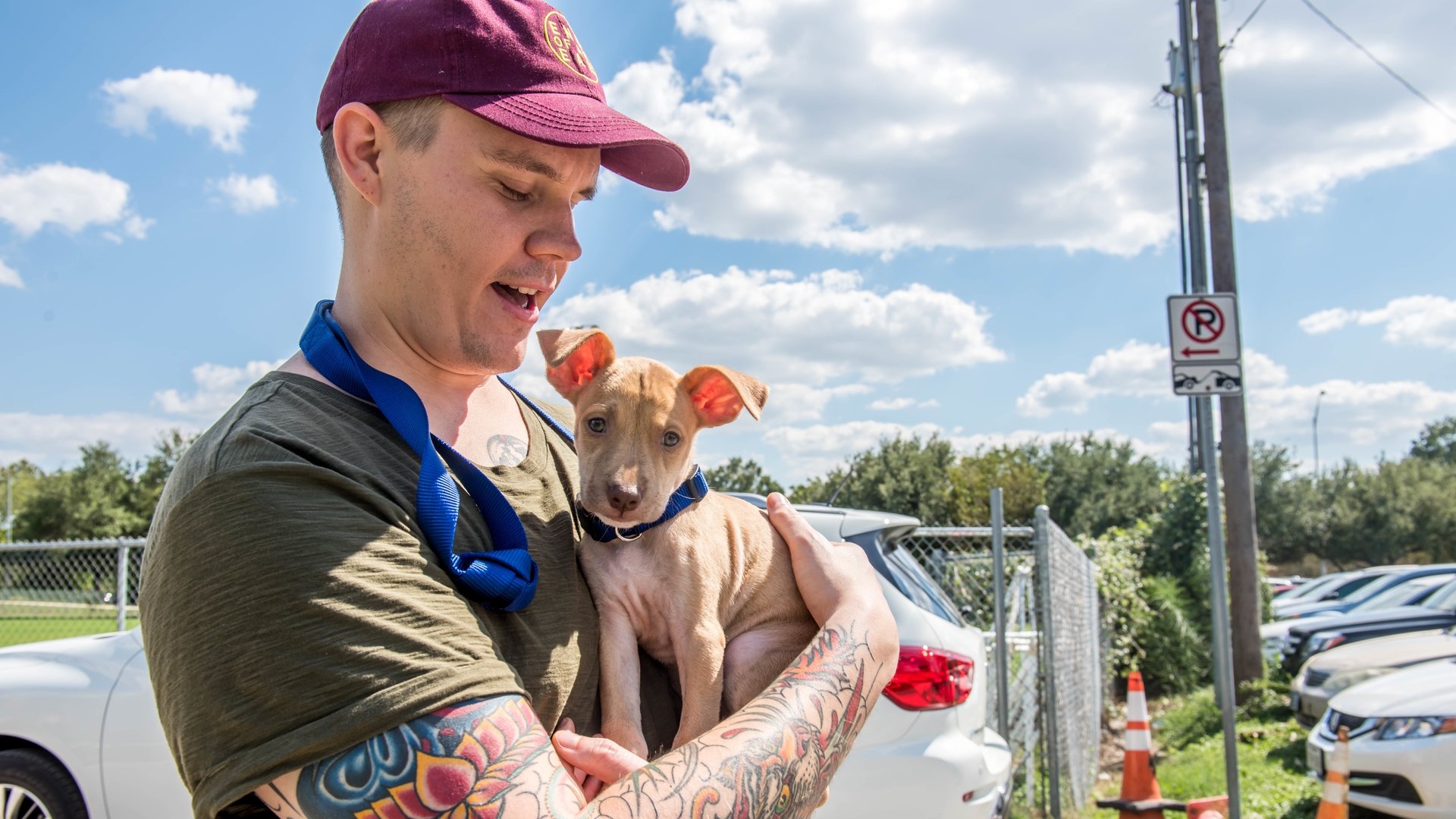 Surviving Harvey: Animals After the Storm (2017)