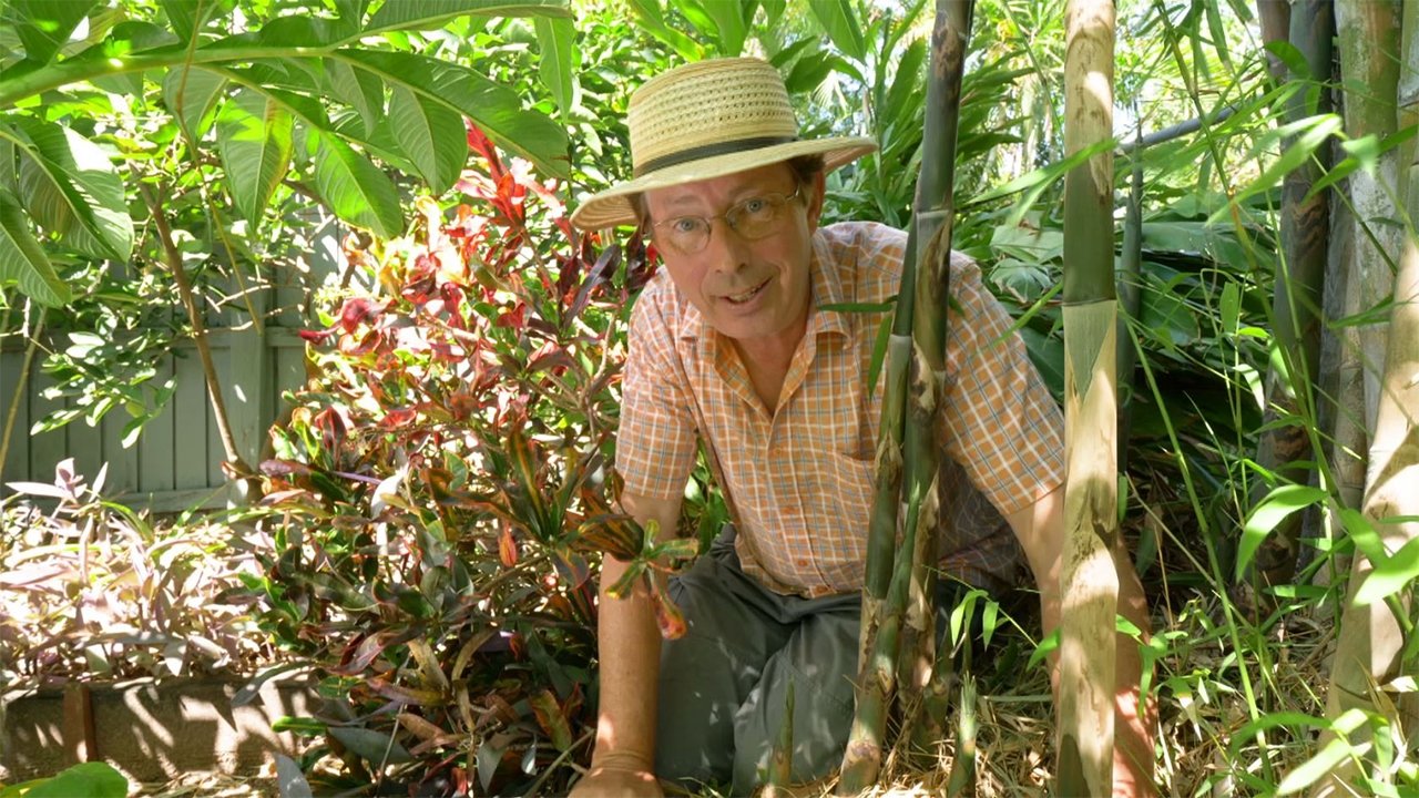 Gardening Australia