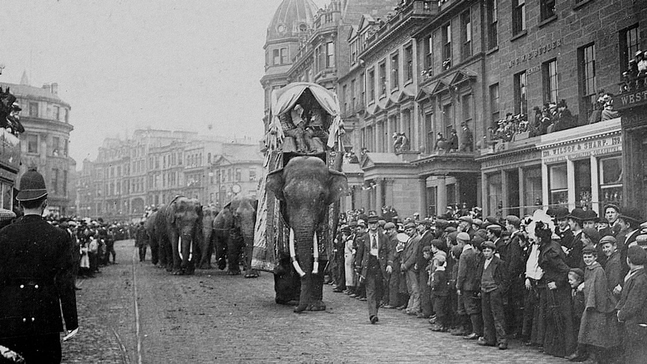 The Tragic Story of Fritz the Elephant