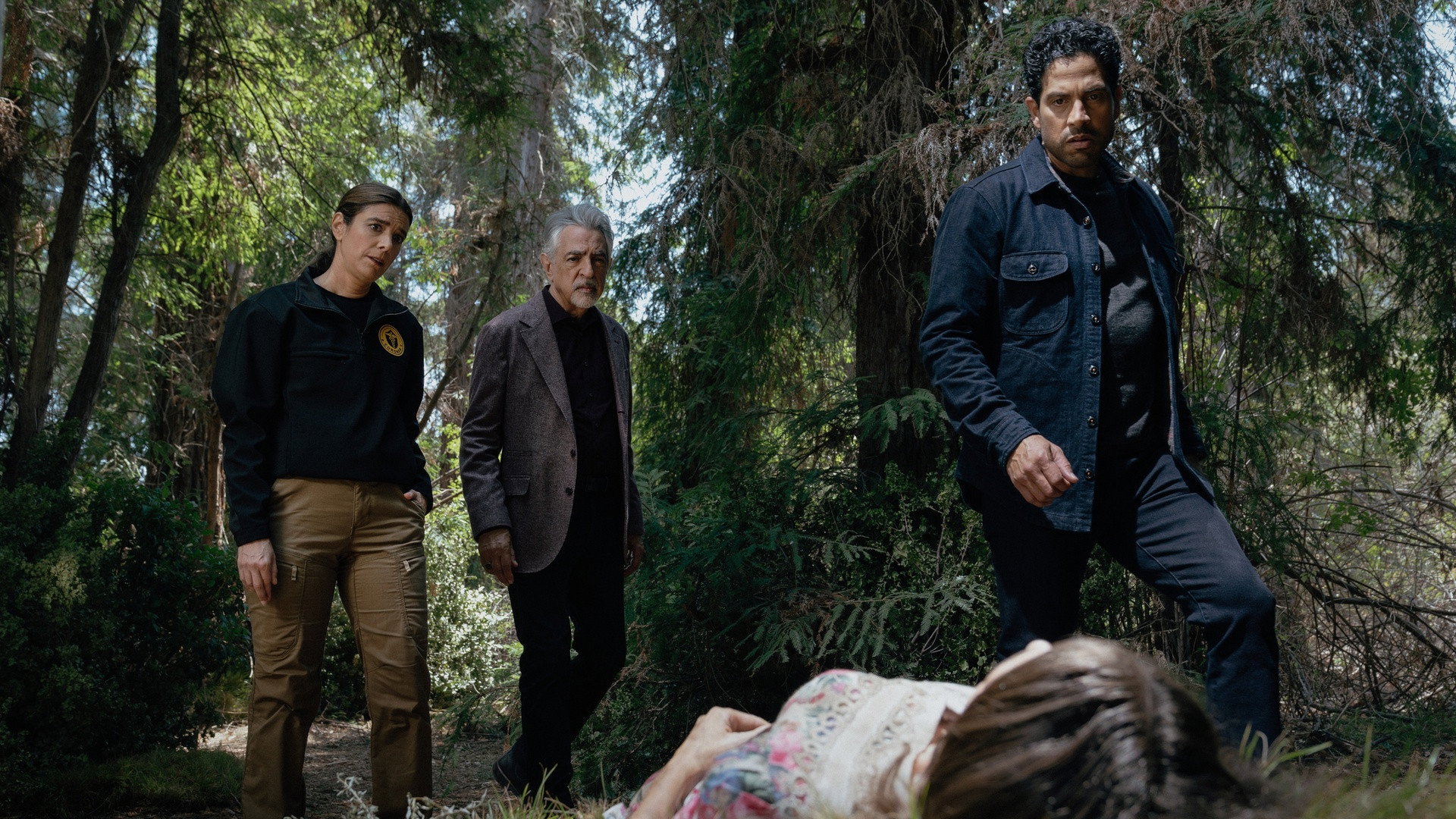 Criminal Minds Season 19 :Episode 8  Requiem for a Dream