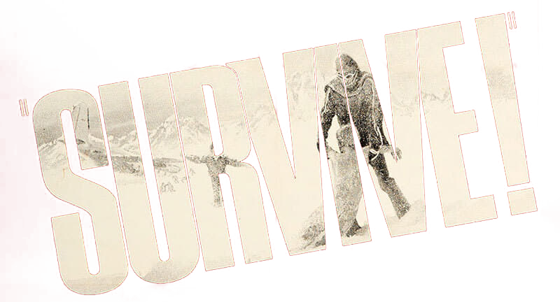 Survive!