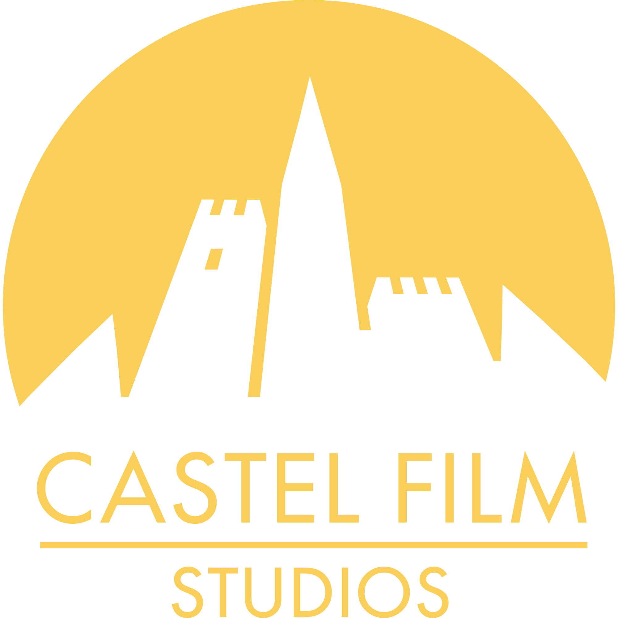 Logo de la société Castel Film 9901