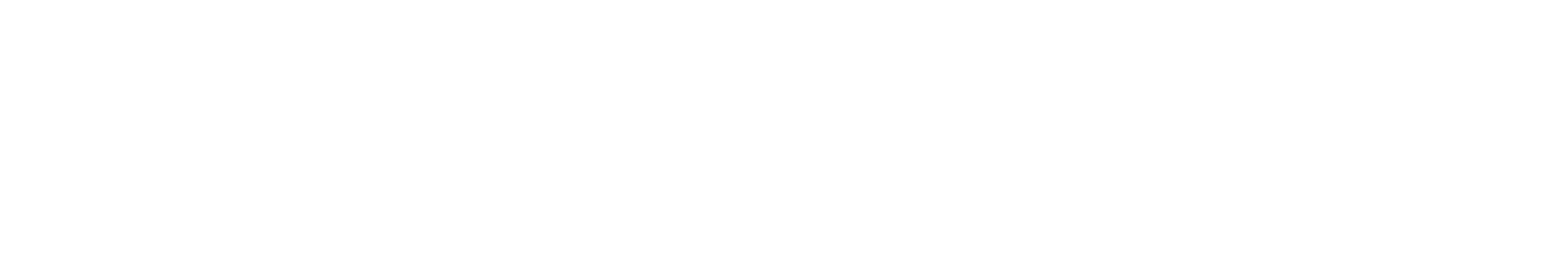 Cleaner Logo