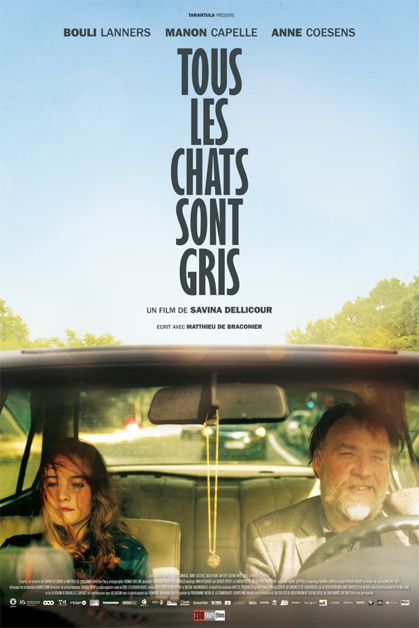 Affiche du film Tous les chats sont gris 15035