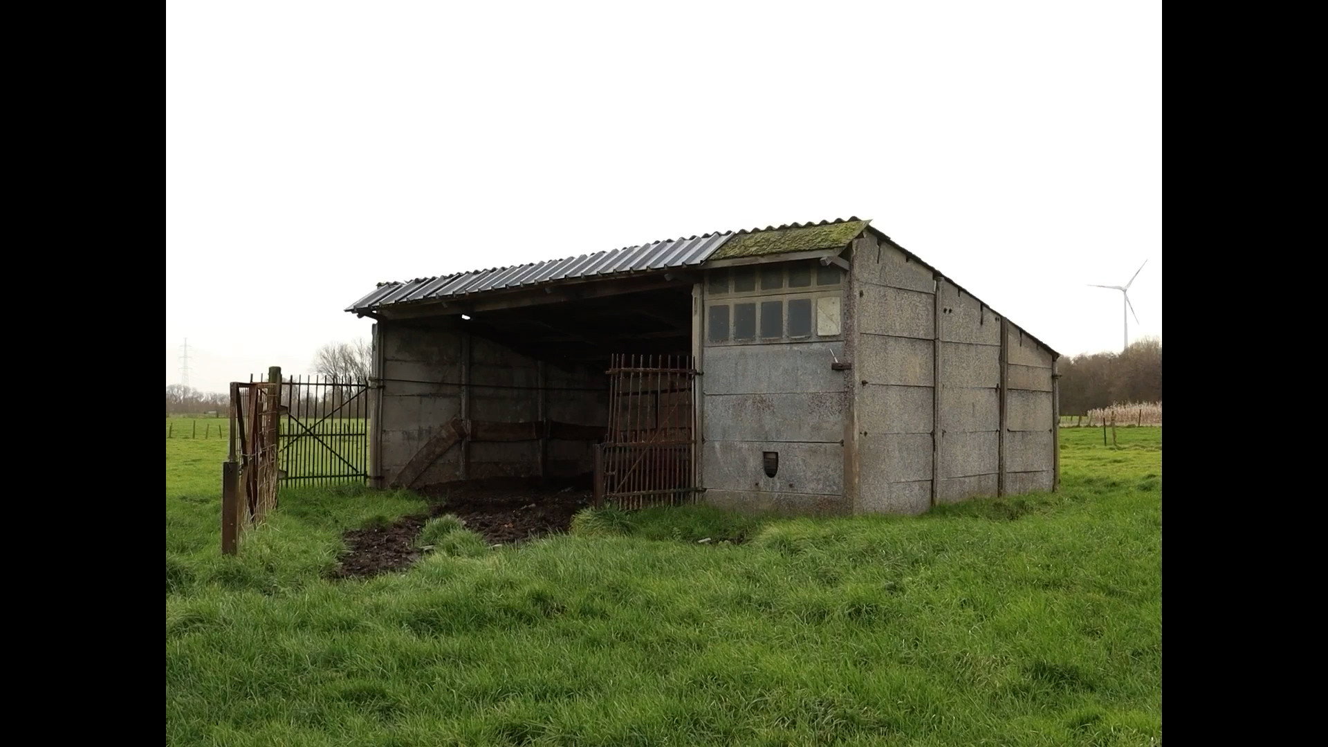 A Day Not So Pleasant for a Peasant